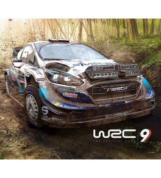 WRC 9 FIA World Rally Championship Steam Key GLOBAL